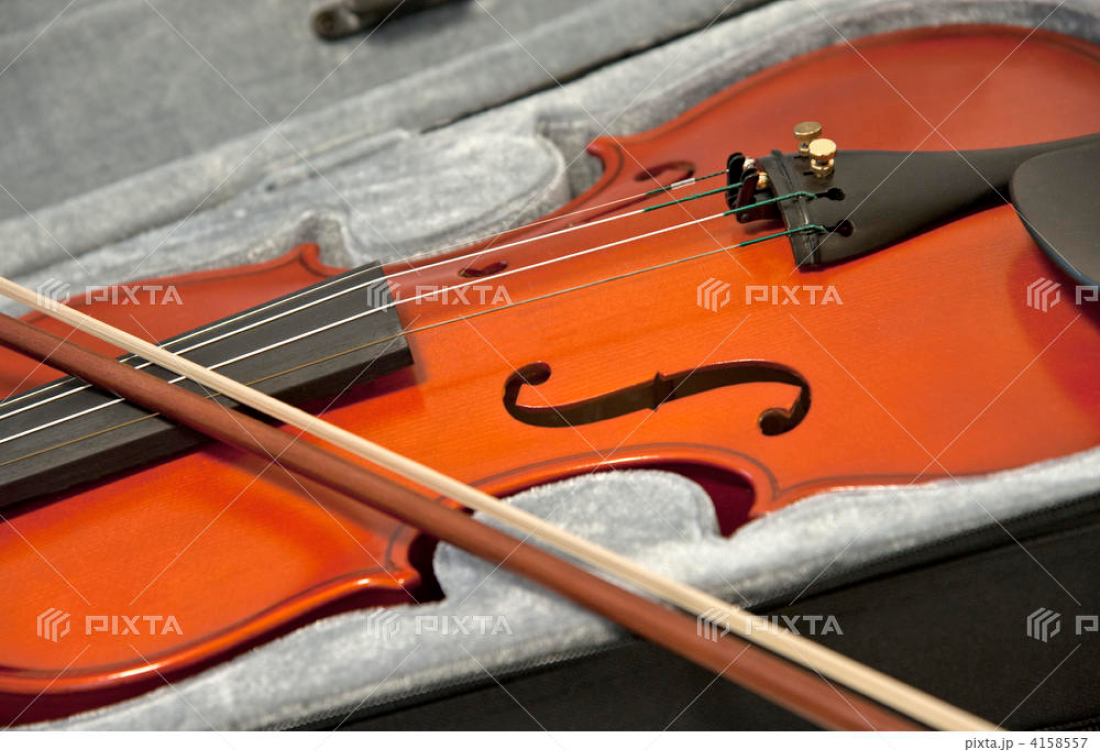 弦楽器を演奏している様子